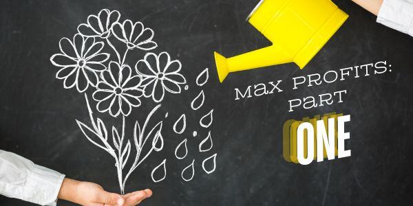 Maximizing Your Practice's Profitability Part One 